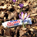 Fagaras cel mare baton de ciocolata - Delumani - Magazin Online Romanesc 